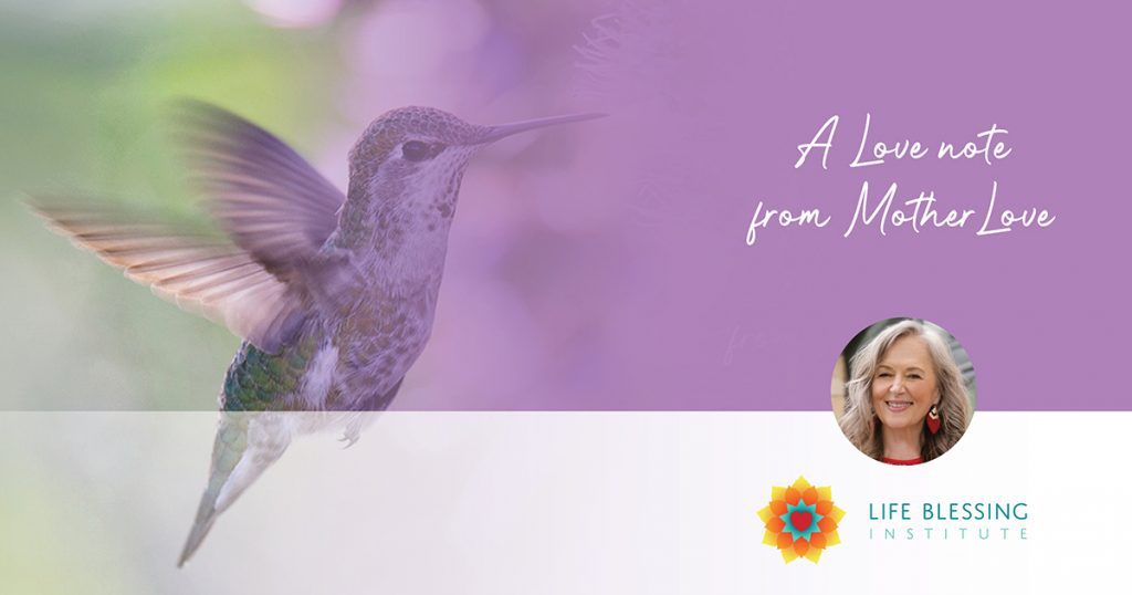 hummingbird