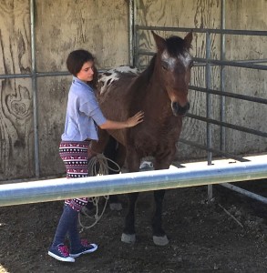 kid-horse