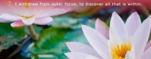 7-discover