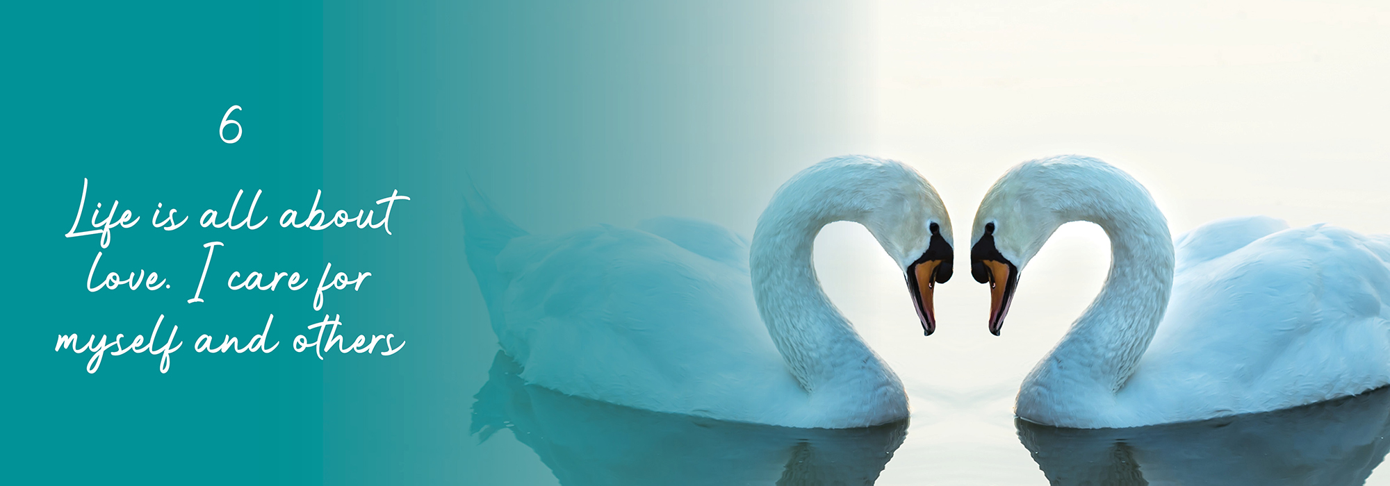 Life Blessing banner swans